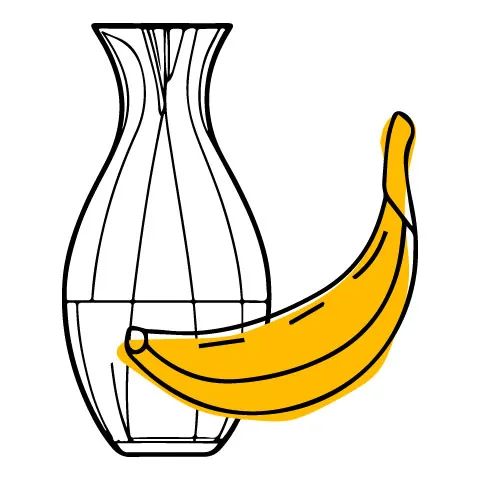 Why Choose Musa Utilization Of The Banana Icon Musapacta